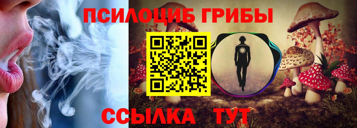 Псилоцибиновые грибы Psilocybe Пушкино