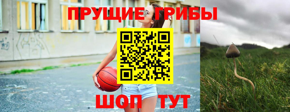 Галлюциногенные грибы Psilocybe  Вход с VPN  Пушкино  Галлюциногенные грибы GOLDEN TEACHER 